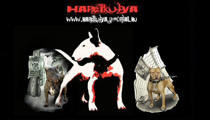 Harcikutya -Ha te is szereted ket-